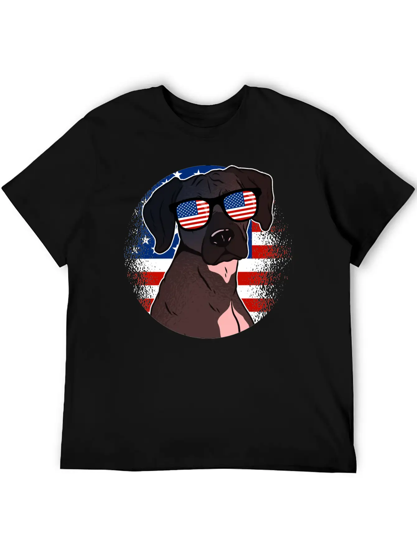 America Casual Graphic T-Shirt – Simple And Comfortable Daily Wear
