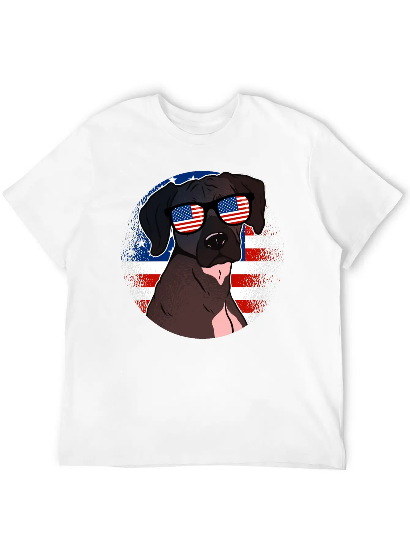 America Casual Graphic T-Shirt – Simple And Comfortable Daily Wear