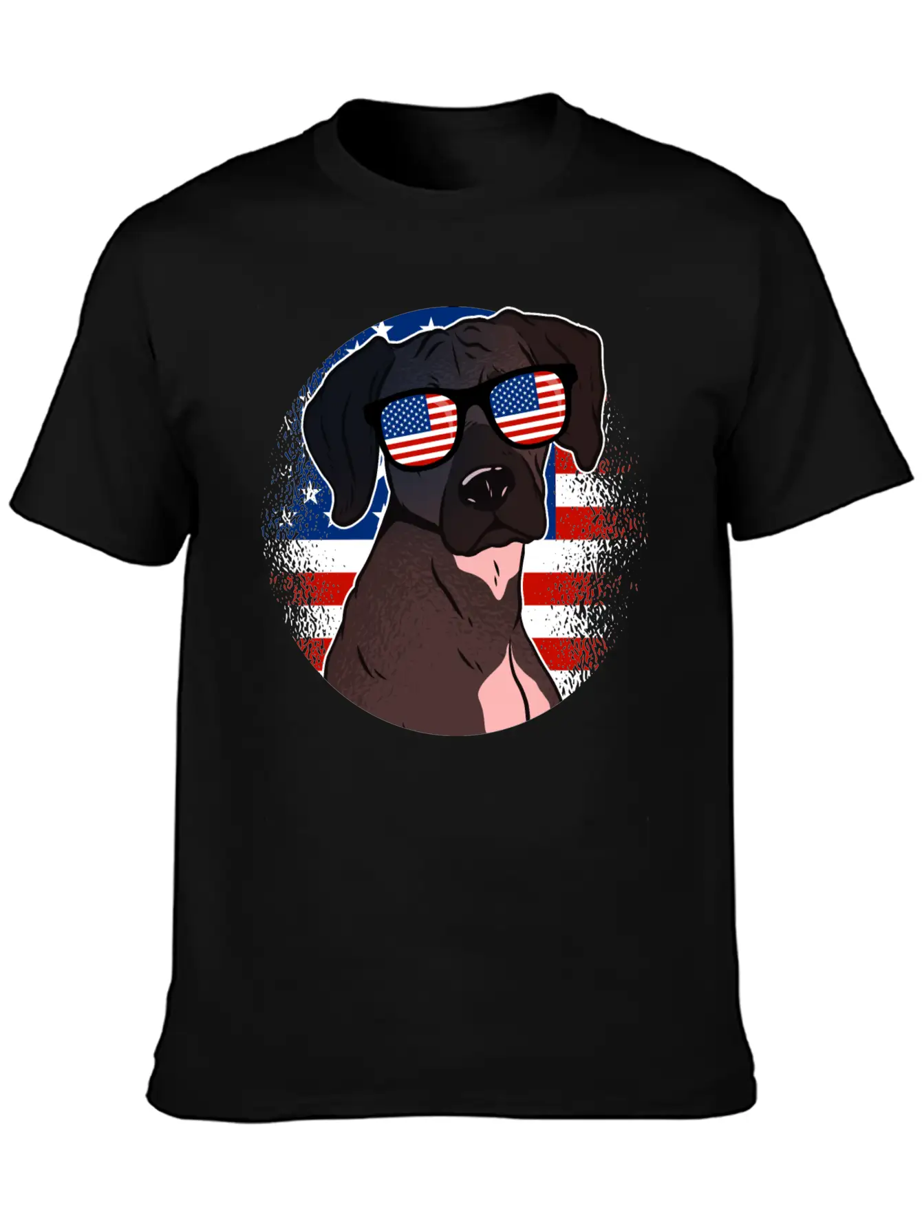 America Casual Graphic T-Shirt – Simple And Comfortable Daily Wear