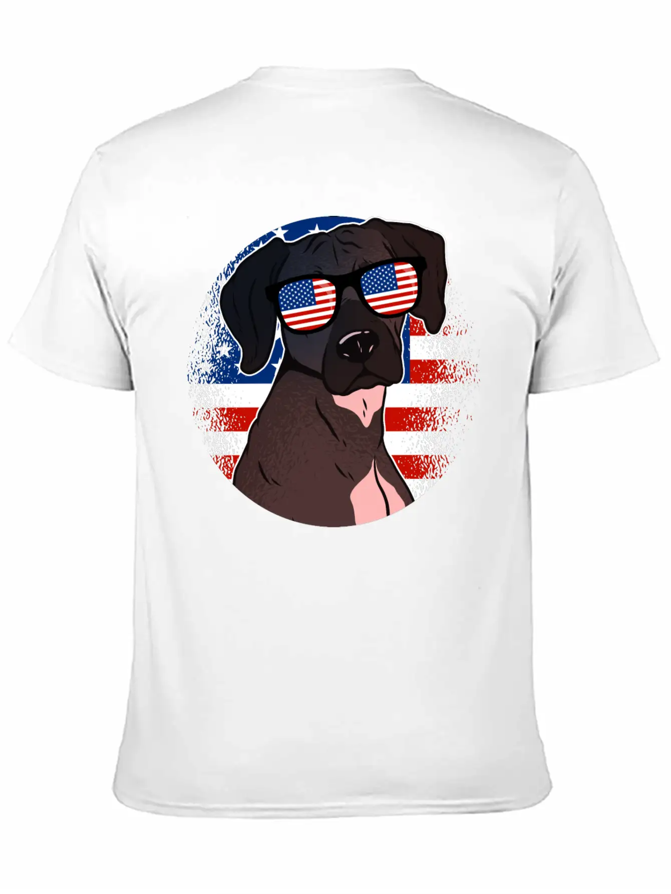 America Casual Graphic T-Shirt – Simple And Comfortable Daily Wear