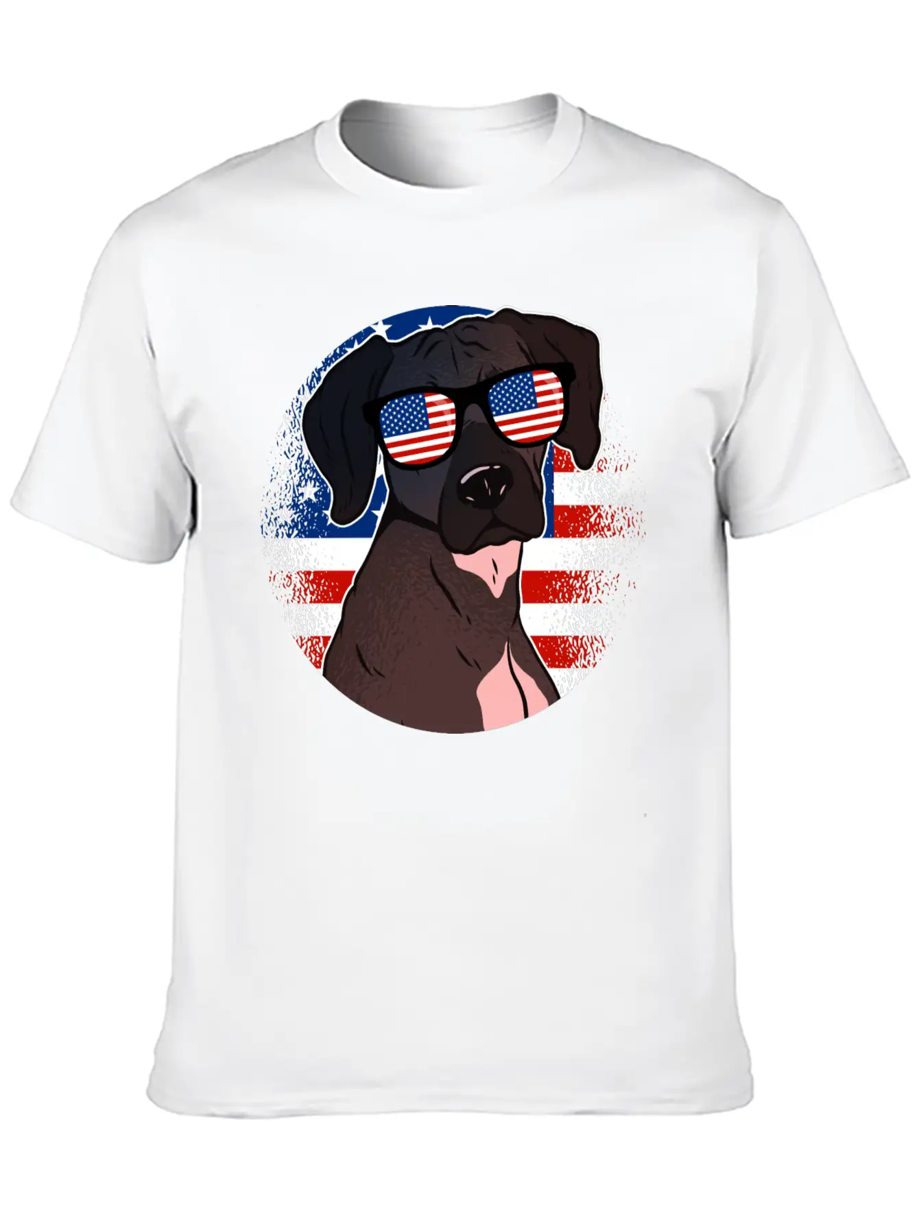 America Casual Graphic T-Shirt – Simple And Comfortable Daily Wear