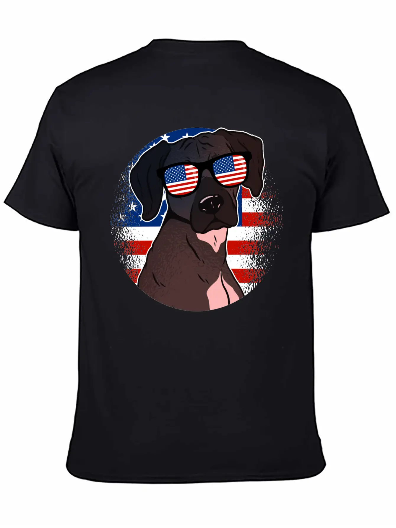 America Casual Graphic T-Shirt – Simple And Comfortable Daily Wear